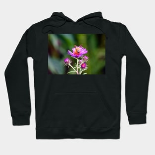 "Honey Bee's Haven" Hoodie